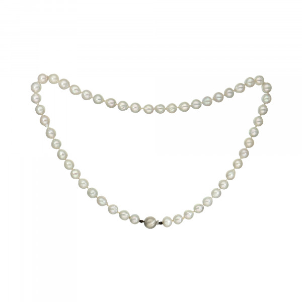 Perlenkette hellgrau 51 Choker – Perlen mit Kugelschloss Silber matt 925
